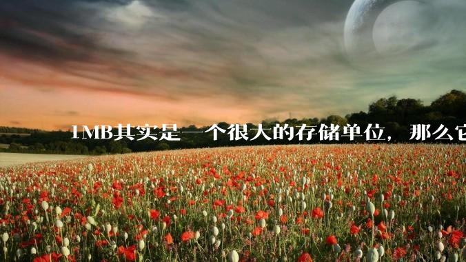 1MB其实是一个很大的存储单位，那么它的存储容量究竟有多大？