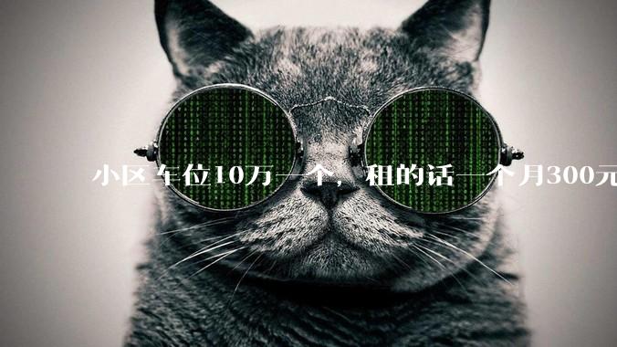 小区车位10万一个，租的话一个月300元，还有必要买车位吗？