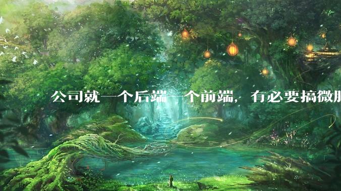 公司就一个后端一个前端，有必要搞微服务吗？